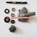 Assy for CF250cc Water-cooled
