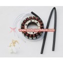 Magneto stator coil