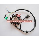 New 8-Coil Magneto Stator For GY6 125-150 Atv