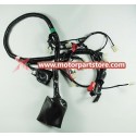 New Wire Harness For Shineray 250 Stxe