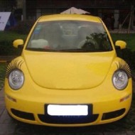 3D Car Headlight Eyelashes 